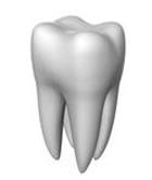 Santé dentaire d'arrangement. Dental care.